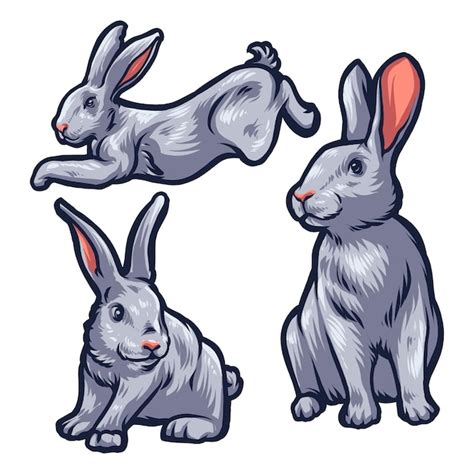 Premium Vector Rabbit Illustration