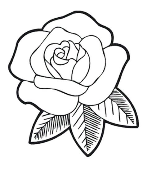 Rose Line Drawing Free Download On Clipartmag