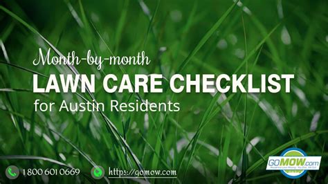 Month By Month Lawn Care Checklist For Austin Residents Lawn Care