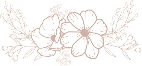 Flowers Line Art PNGs for Free Download
