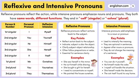 Reflexive And Intensive Pronouns In English With Examples Englishan