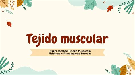 Tejido Muscular Naara Jocabed Pinedo Melgarejo Udocz