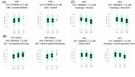 Plot show the expression of SNPs for each genotype; rs2233290(A ...