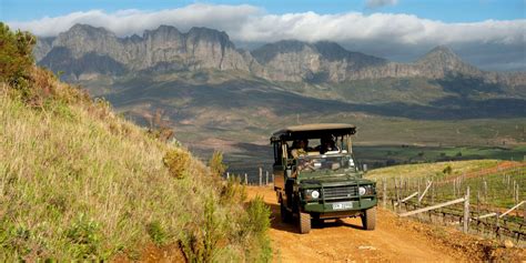 Lourensford Wine Estate | Wine in the Cape | Wine Estate