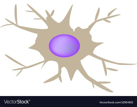 Dendritic cell immunity infographics on isolated Vector Image