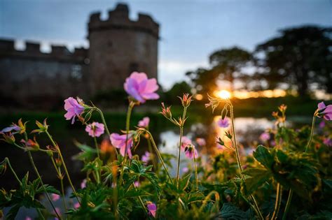 Maxstoke Castle Near Coleshill In Pictures Birmingham Live