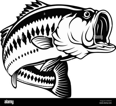 Largemouth bass hi-res stock photography and images - Alamy