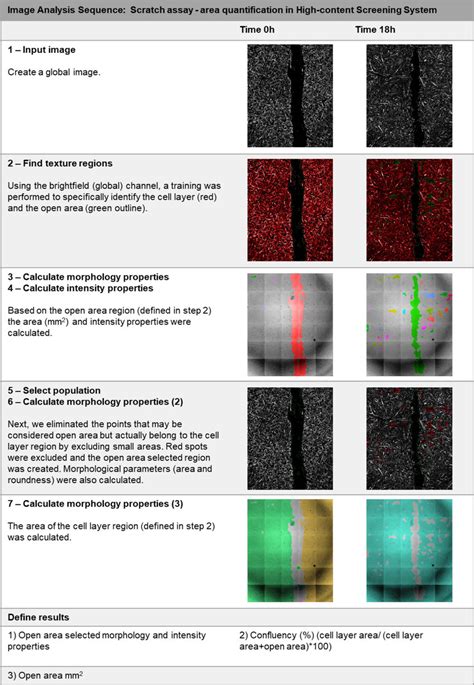 Image Analysis Sequence For In Vitro Wound Healing Assay Analysis