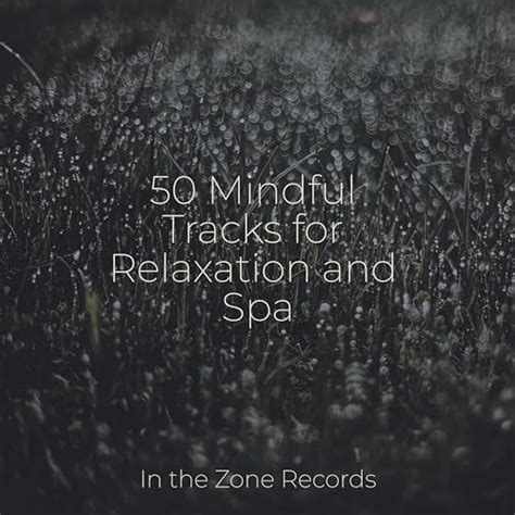 Play 50 Mindful Tracks For Relaxation And Spa By Lullabies For Deep