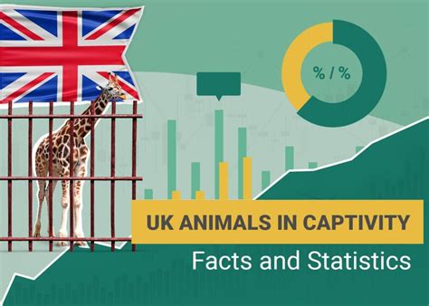 11 Disheartening UK Animals in Captivity Statistics to Know in 2025 ...