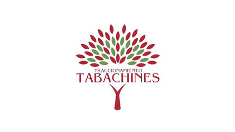 PRÓXIMAMENTE FRACCIONAMIENTO TABACHINES EN YECAPIXTLA MORELOS YouTube