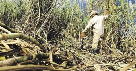 El Gobierno Nacional Declaró La Emergencia Agropecuaria En Jujuy