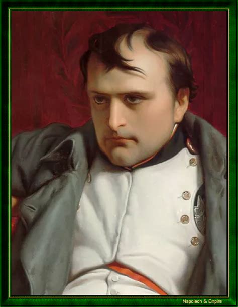 Napoleon Bonaparte in 1814 Napoléon Empire