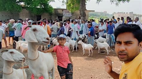 Qurbani Ka Bakra Le Liya Youtube