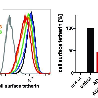 HIV 1 AD8 Nef Antagonises Tetherin In Primary Macrophages A MDMs