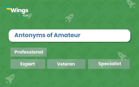 11 Antonyms Of Amateur Meaning And Examples