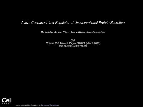 Active Caspase 1 Is A Regulator Of Unconventional Protein Secretion