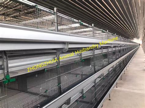 2024 Hot Sale Automatic Poultry Farming Equipment Chicken H Type Layer