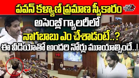 Nagababu Shocking Reaction While Pawan Kalyan Taking Oath Ap Assembly