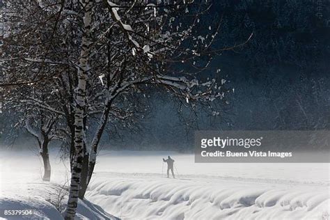 328 Buena Vista Ski Area Stock Photos, High-Res Pictures, and Images ...