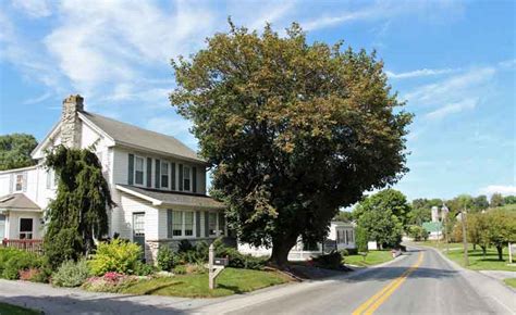 Our Amish Lodgings - Amish BnB