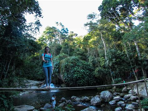 Conhe A Tudo Sobre O Po O Do Tarzan Paraty Rj Vamos Trilhar