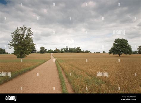 Landscape Image Of A Public Footpaths In Farm Land In The Oxfordshire Countryside England Stock