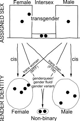 Understanding Sex Gender And Sexuality