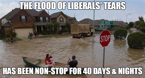 Flooding Memes - Imgflip