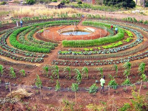 Huerto Urbano Jardim Permacultura Permacultura Permaculture Design