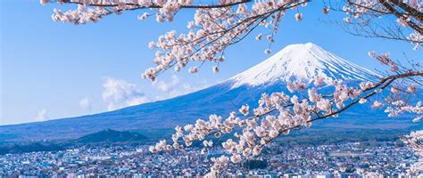 El Monte Fuji De Yamanashi Historia Cómo Llegar Mapa Horario Y