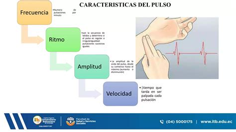 Frecuencia Cardiacapptx