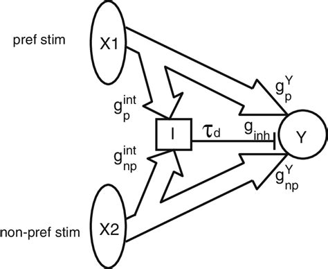 Schematic Overview Of The Simple Feedforward Model A Preferred And A