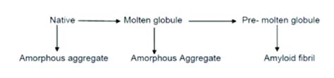 A Schematic Pattern Representing Protein Aggregation From Different... | Download Scientific Diagram