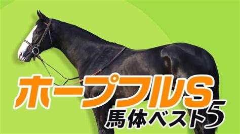 【ホープフルs2023予想】朝日杯fsも的中！パドックの達人が選ぶ珠玉の5頭北枕鳩三郎 競馬動画 Netkeiba