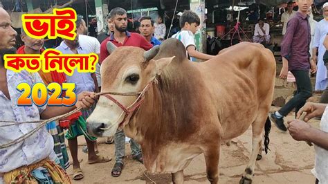 Bhai Koto Nilo Gabtoli Gorur Haat 2023 Cow Price In Bangladesh