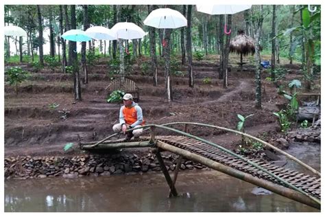 Explore Sejuknya Bukit Salju Ngetos Cara Asik Nikmati Hutan Pohon