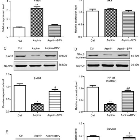 Effects Of Aspirin On The Ptenaktnf κbsurvivin Signaling Pathway In