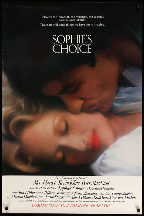 Summary Of Sophies Choice 2