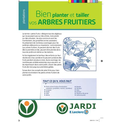 Bien Planter Et Tailler Vos Petits Arbres Fruitiers