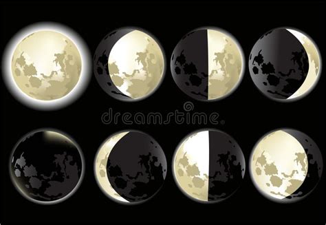 Moon Phases Stock Vector Illustration Of Satelite Full 12125724