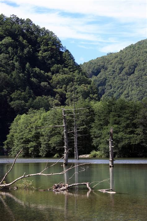 Images Gratuites arbre eau la nature forêt région sauvage Lac