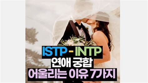 Istp Intp 궁합 어울리는 이유 7가지 잇팁 인팁 연애 2025