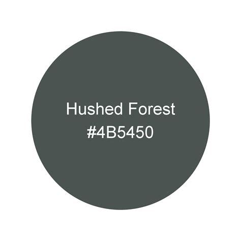 Hushed Forest · Theme