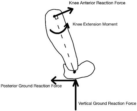 Biomechanics Free Full Text Gender Comparisons And Associations