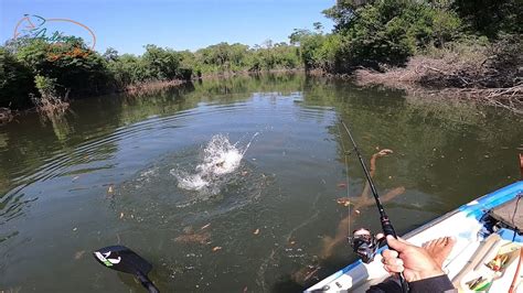 RIO MAICI RONDONIA AMAZONIA Belezas Do Baixo Madeira Pesca De