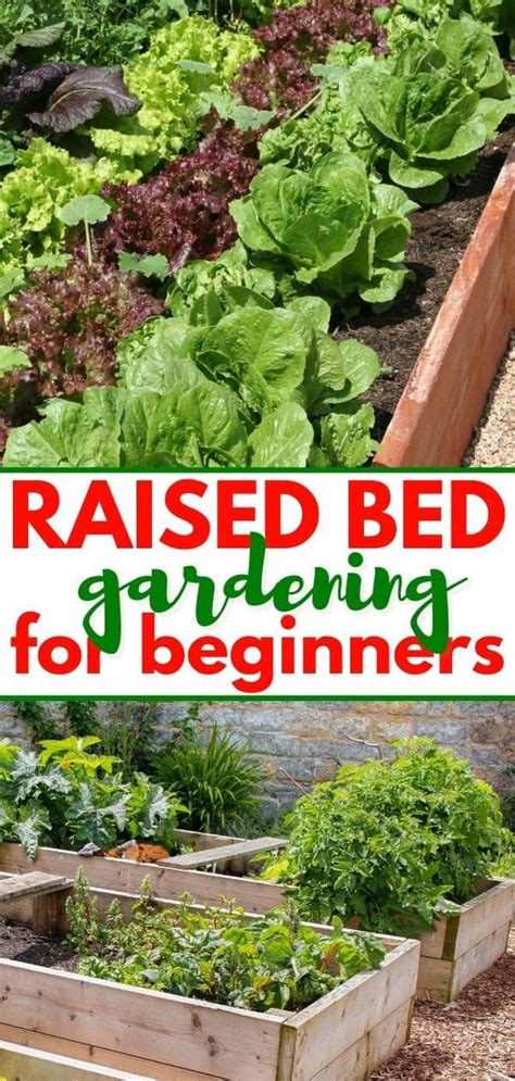 Raised Bed Gardening For Beginners Get Amazing Yields The Easy Way In 2021 Gardening For