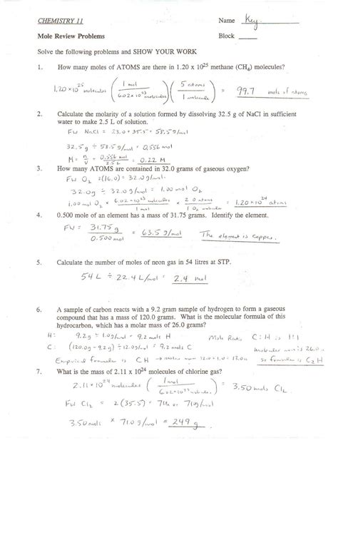 Sheep Brain Dissection Worksheet 1