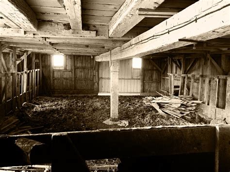 Old Barn Interior Stock Photo - Download Image Now - 2015, Aging Process, Agriculture - iStock