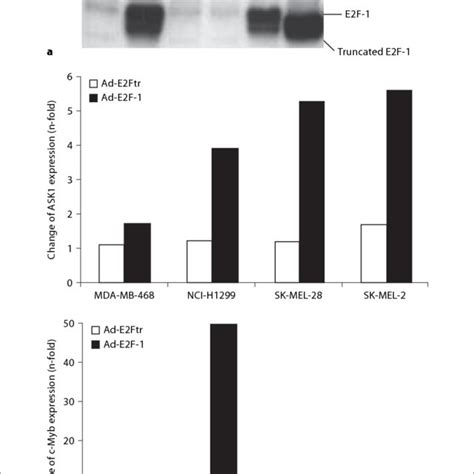 Transactivation domain of E2F-1 was required for upregulation of ASK1 ... 